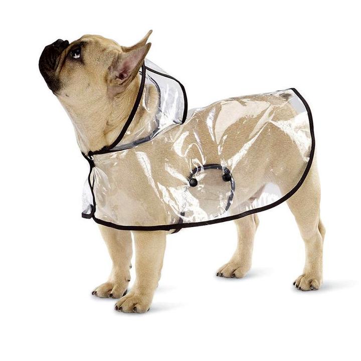 Waterproof coat on sale for french bulldog