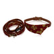  Red and Golden Bandana Collar and leash french bulldogs