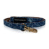 Blue Ocean French Bulldog dog Leash