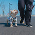 Hawaiian shirt for French Bulldogs